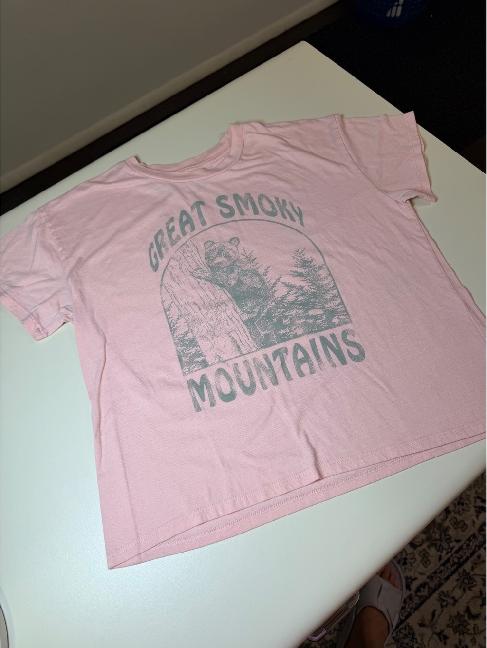 XL Pink Great Smoky Mountains Graphic T-Shirt